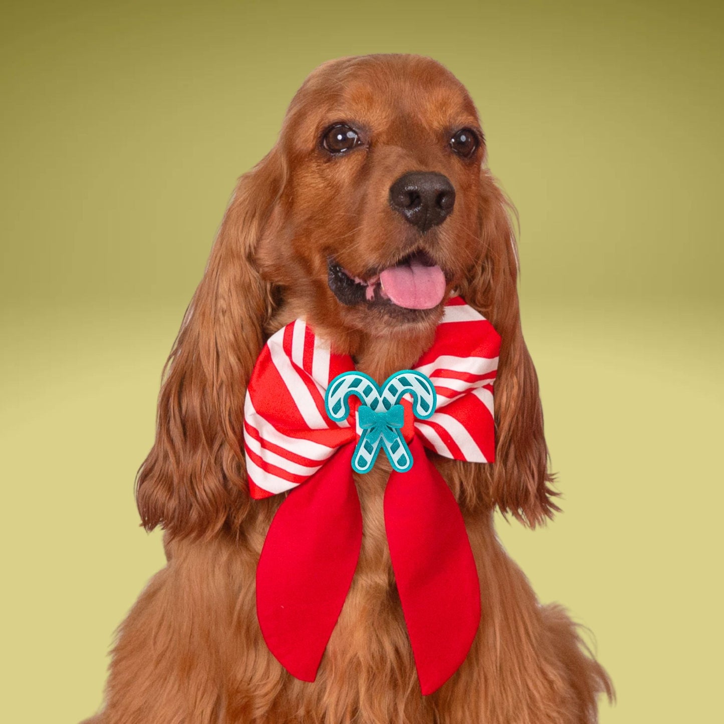 Sailor Bow Candy Cane Stripe Sailor Bow by Life for Pawz – Handmade for pets