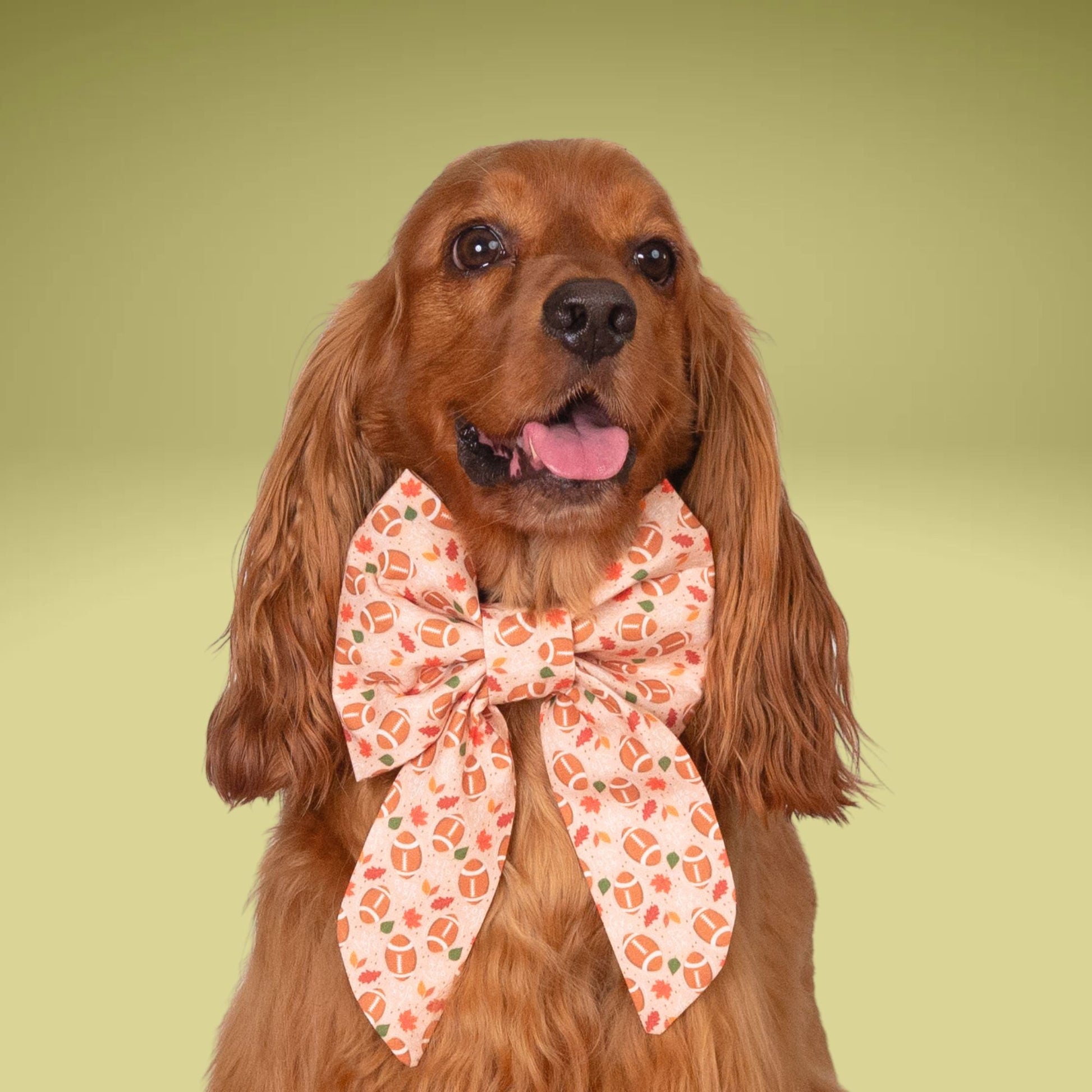 Sailor Bow Fall Football Sailor Bow by Life for Pawz – Handmade for pets