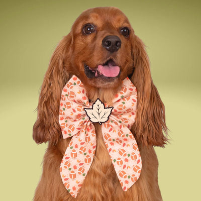 Sailor Bow Fall Football Sailor Bow by Life for Pawz – Handmade for pets