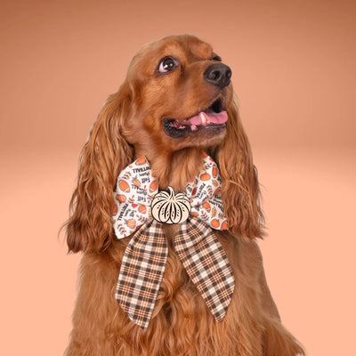 Sailor Bow Fall Football Text Sailor Bow by Life for Pawz – Handmade for pets
