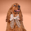 Sailor Bow Fall Football Text Sailor Bow by Life for Pawz – Handmade for pets