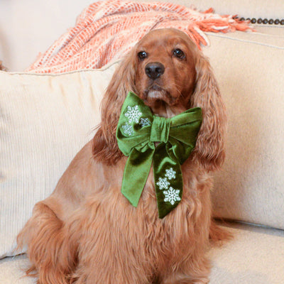 Sailor Bow Festive Dog Bow - Green Velvet by Life for Pawz – Handmade for pets