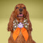 Sailor Bow Glow - in - the - Dark Ghost Bow by Life for Pawz – Handmade for pets