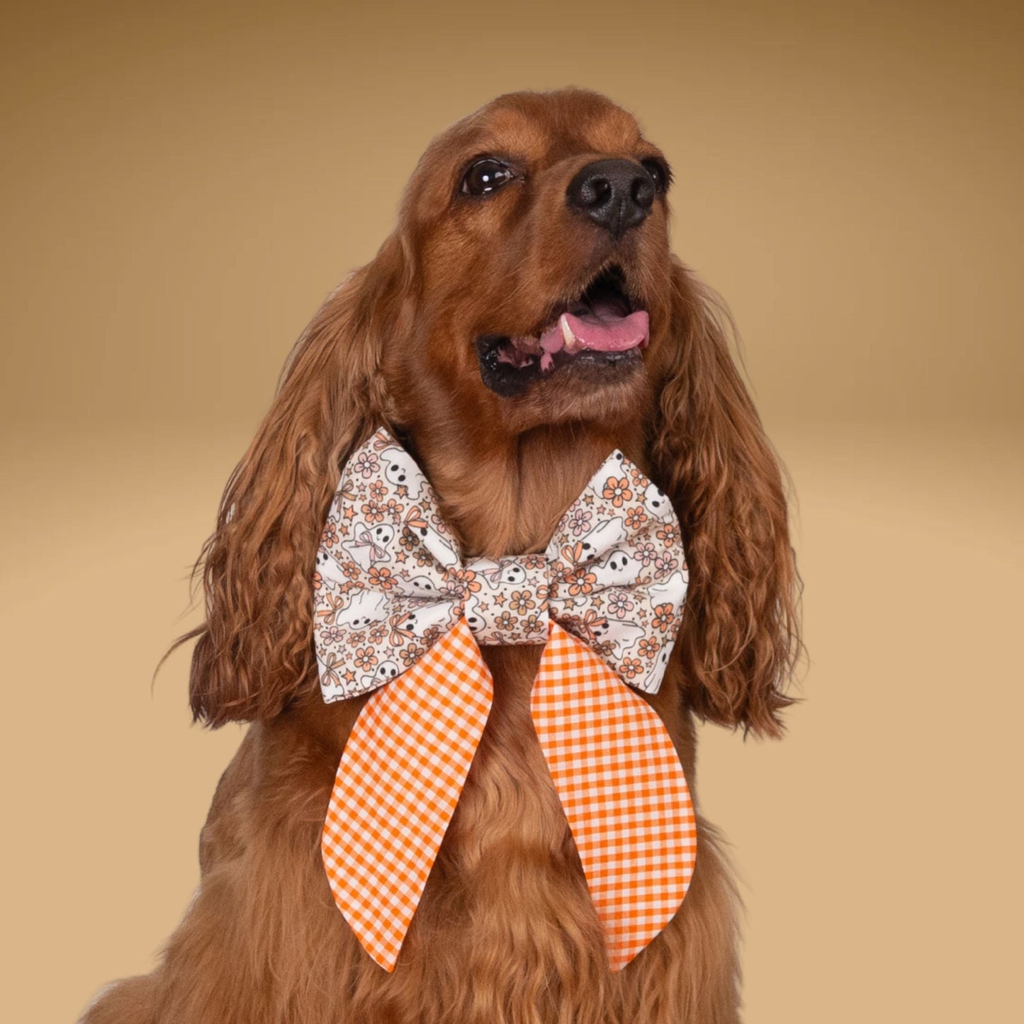Sailor Bow Glow - in - the - Dark Ghost Gingham Bow by Life for Pawz – Handmade for pets