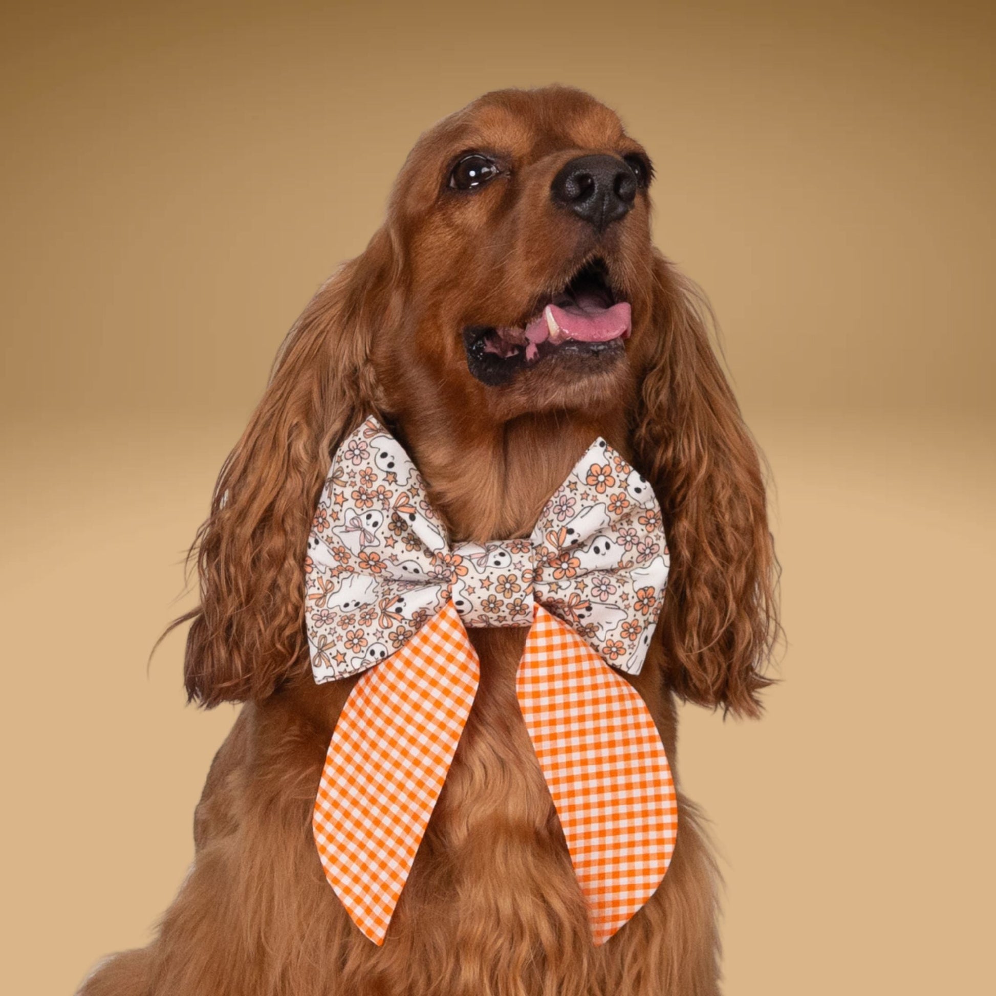 Sailor Bow Glow - in - the - Dark Ghost Gingham Bow by Life for Pawz – Handmade for pets