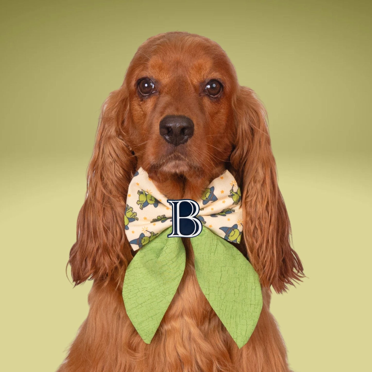 Sailor Bow Halloween Frog Sailor Bow with Initial by Life for Pawz – Handmade for pets