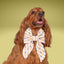 Sailor Bow Happy Halloween Candy Corn Sailor Bow by Life for Pawz – Handmade for pets