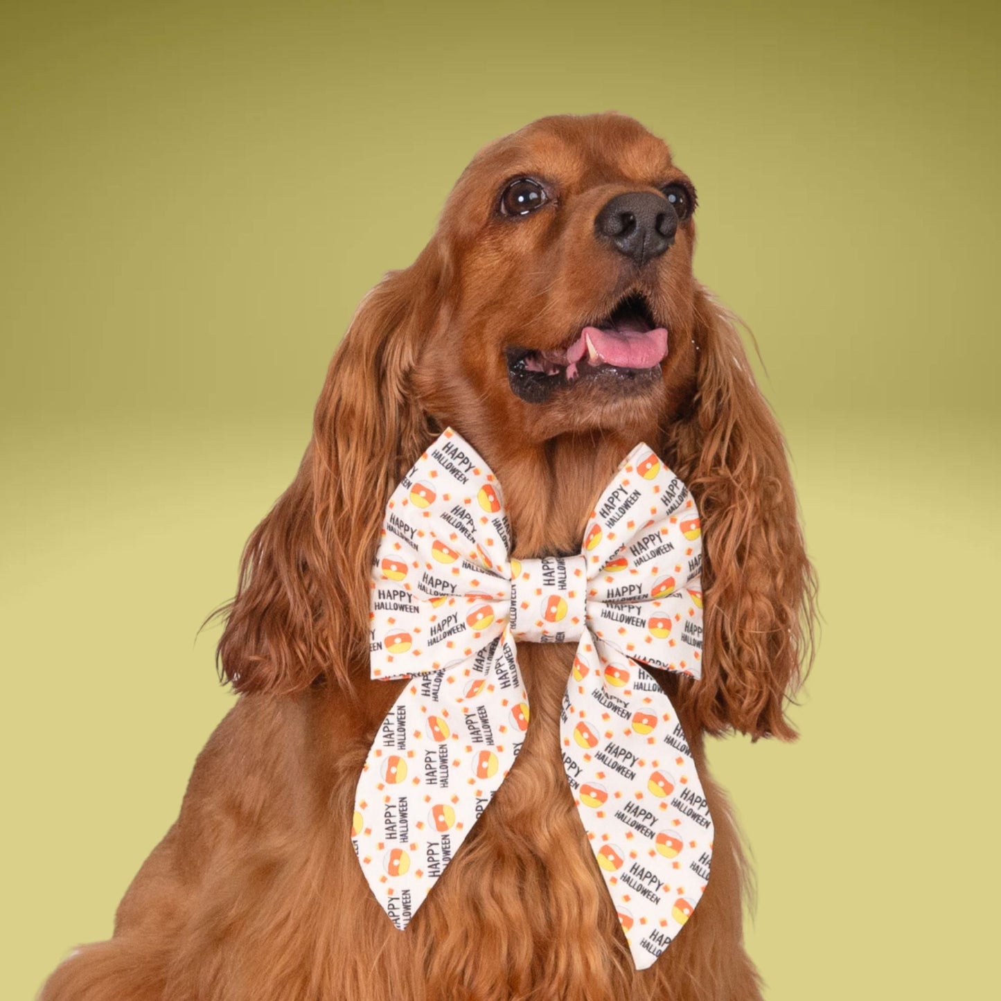 Sailor Bow Happy Halloween Candy Corn Sailor Bow by Life for Pawz – Handmade for pets