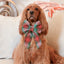 Sailor Bow Holiday Dog Sailor Bow by Life for Pawz – Handmade for pets