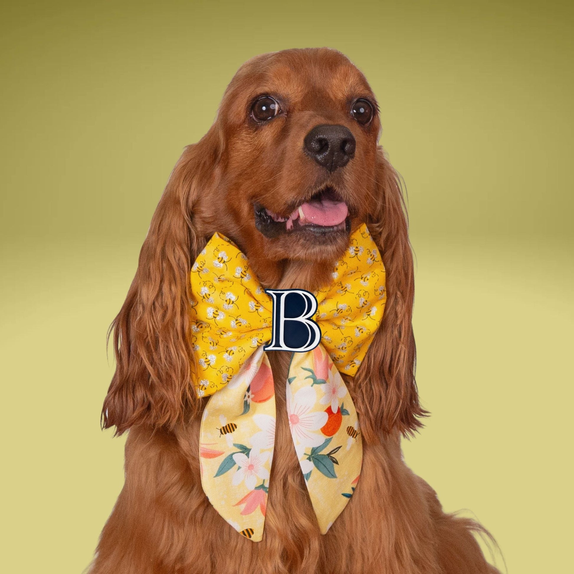 Sailor Bow Honeybee Sailor Bow with Initial Topper by Life for Pawz – Handmade for pets