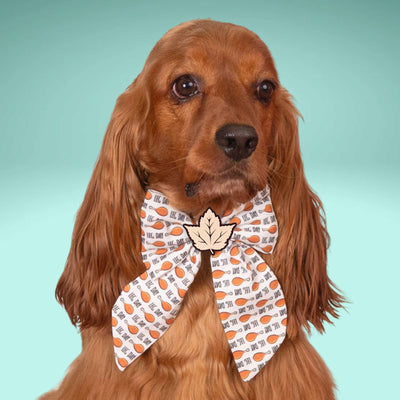 Sailor Bow Leg Day Sailor Bow by Life for Pawz – Handmade for pets