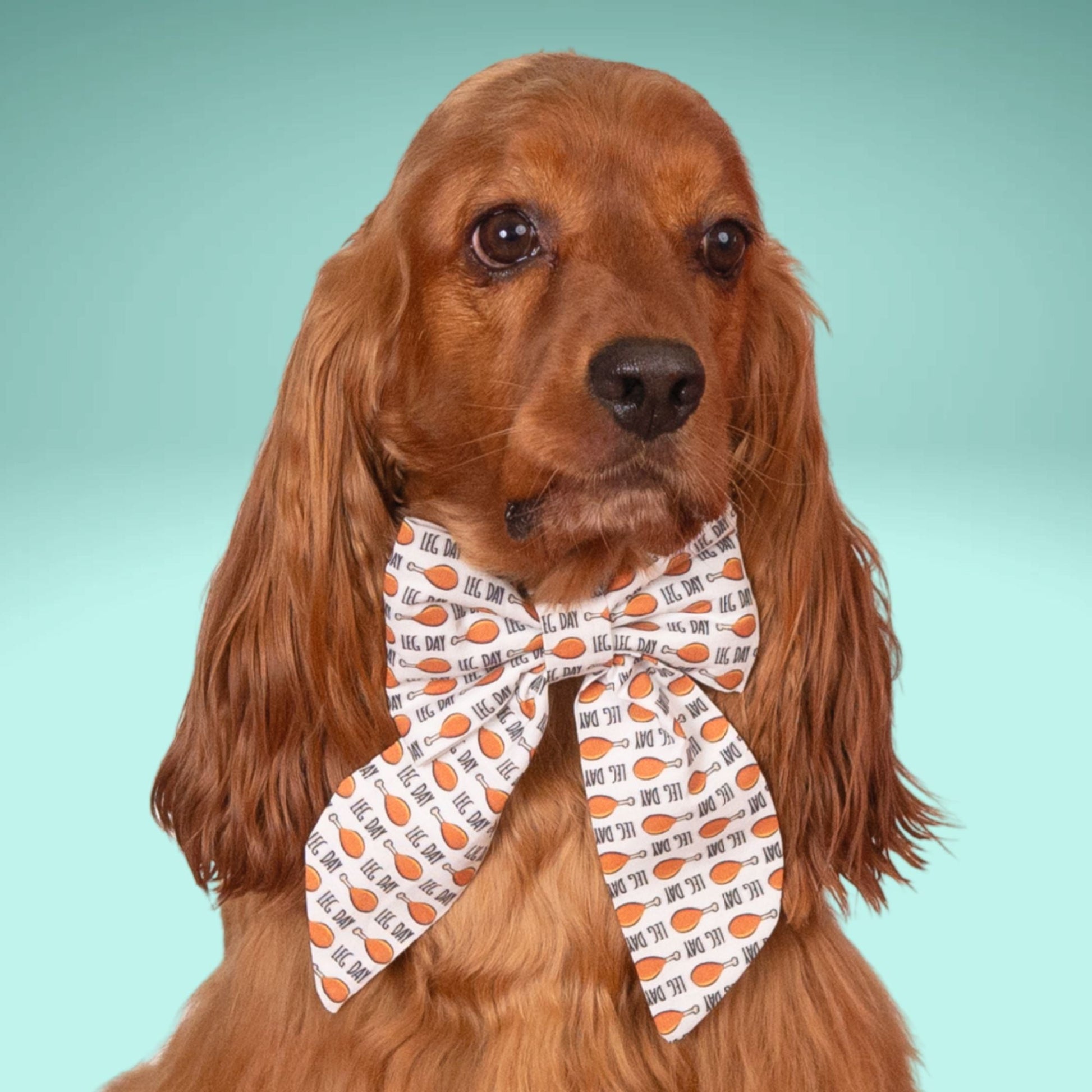 Sailor Bow Leg Day Sailor Bow by Life for Pawz – Handmade for pets