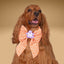 Sailor Bow Mini Ghost Orange Bow by Life for Pawz – Handmade for pets