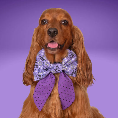 Sailor Bow Purple Boo Halloween Bow by Life for Pawz – Handmade for pets
