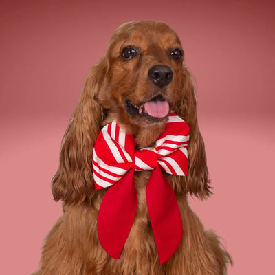 Sailor Bow Red Candy Cane Bow by Life for Pawz – Handmade for pets