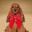Sailor Bow Red Christmas Sailor Bow by Life for Pawz – Handmade for pets