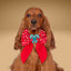 Sailor Bow Red Christmas Sailor Bow by Life for Pawz – Handmade for pets