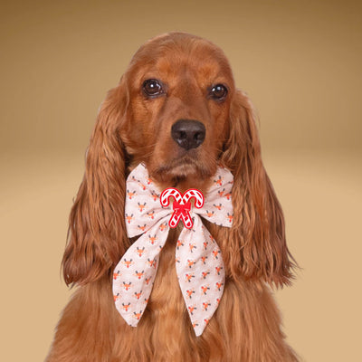 Sailor Bow Reindeer Holiday Sailor Bow by Life for Pawz – Handmade for pets