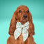 Sailor Bow Santa & Reindeer Sailor Bow by Life for Pawz – Handmade for pets
