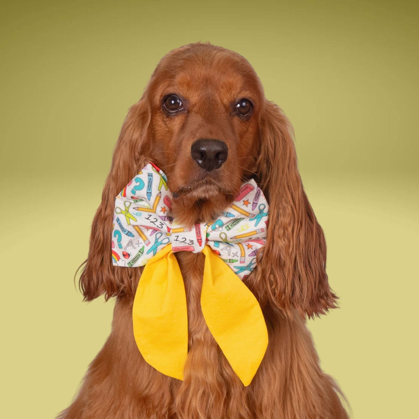 Sailor Bow School Sailor Bow with Initial by Life for Pawz – Handmade for pets