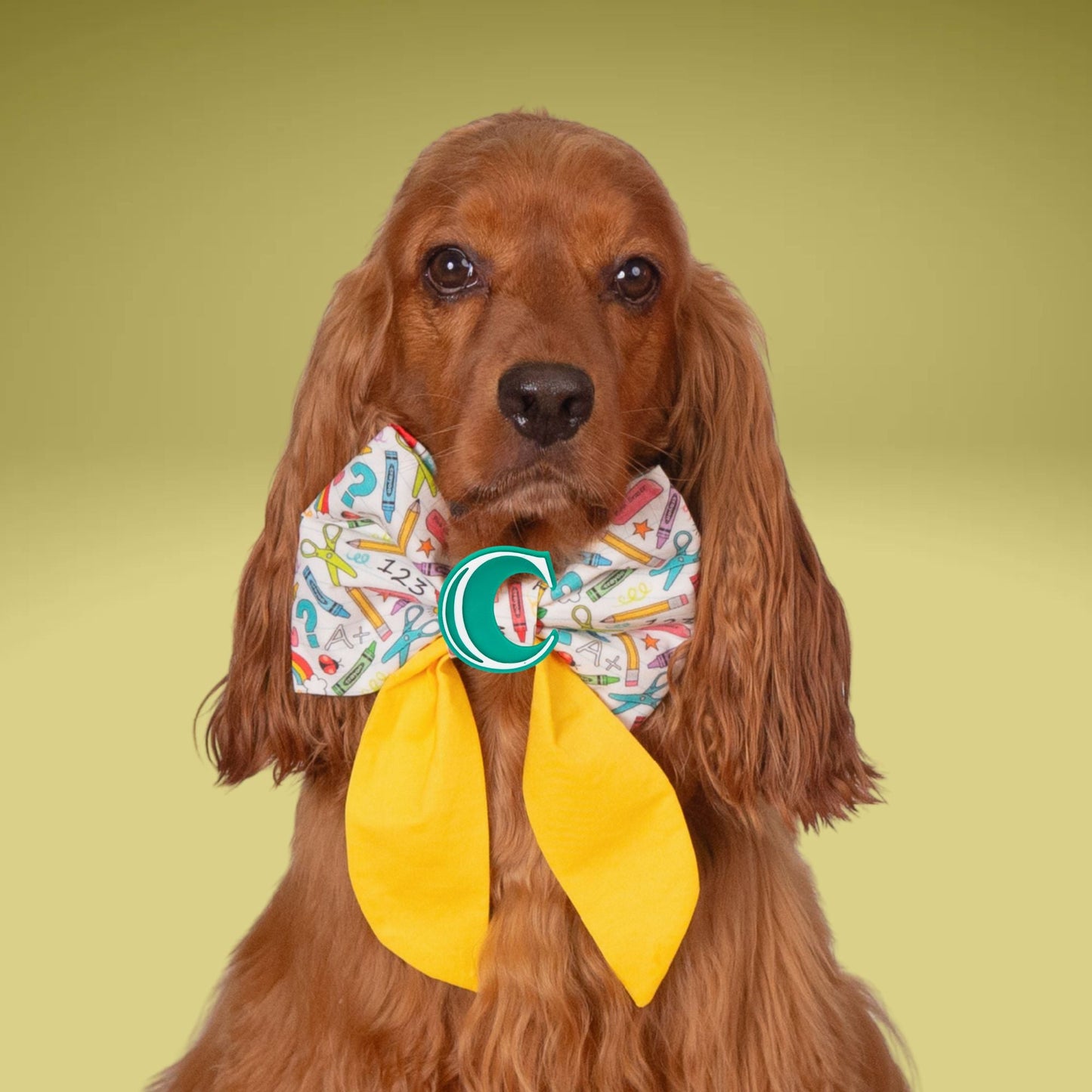 Sailor Bow School Sailor Bow with Initial by Life for Pawz – Handmade for pets