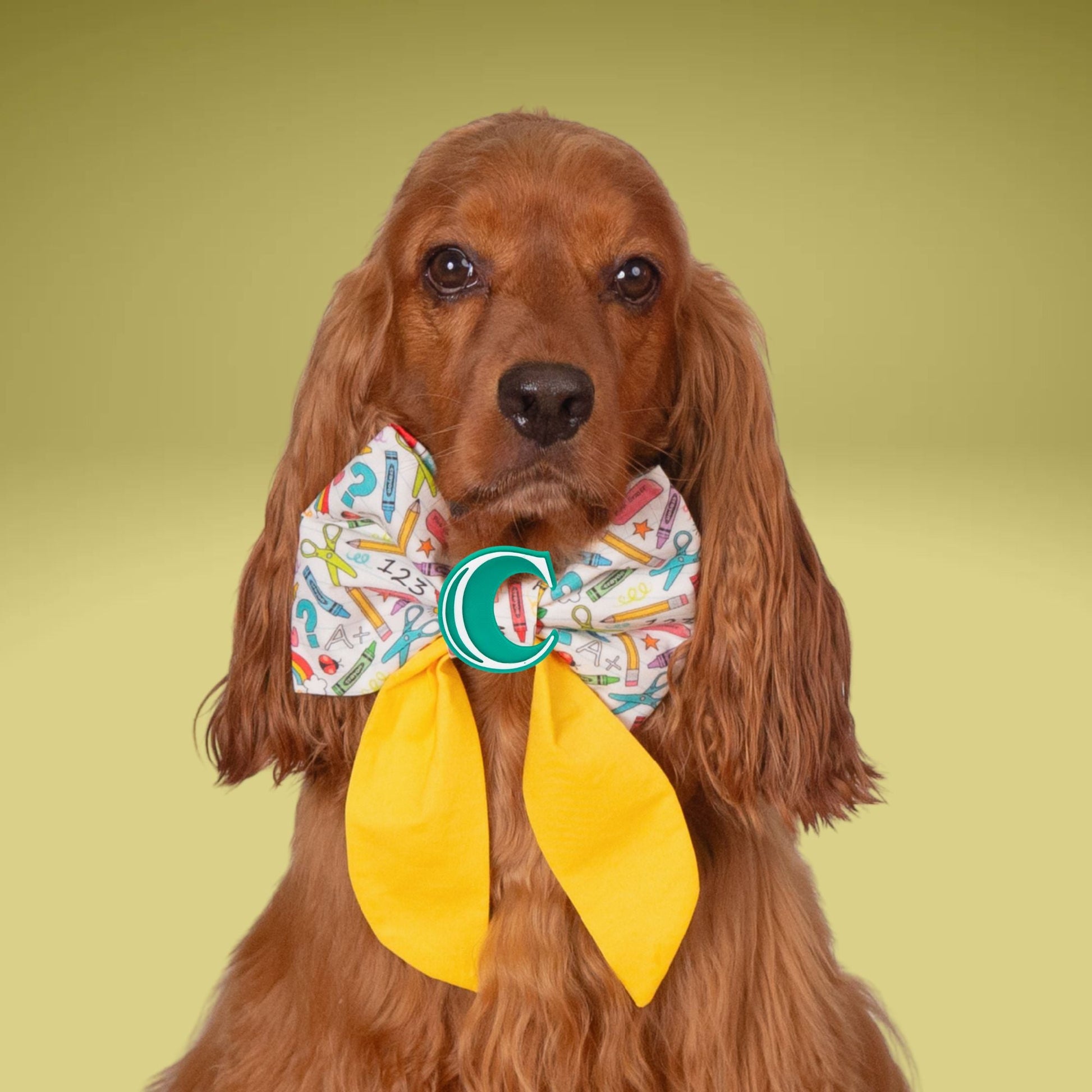 Sailor Bow School Sailor Bow with Initial by Life for Pawz – Handmade for pets
