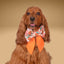 Sailor Bow Strawberry Daisy Sailor Bow with Initial by Life for Pawz – Handmade for pets