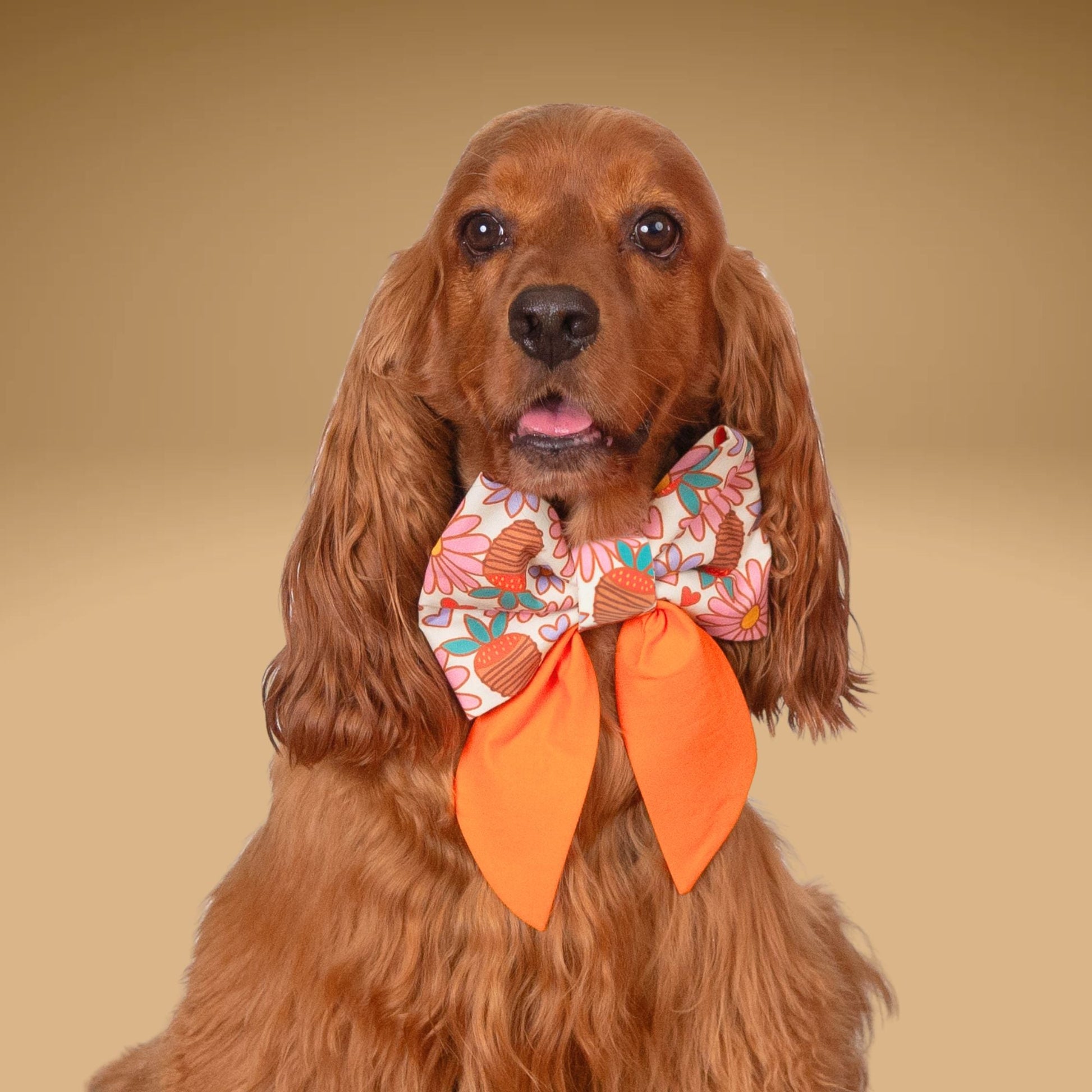 Sailor Bow Strawberry Daisy Sailor Bow with Initial by Life for Pawz – Handmade for pets