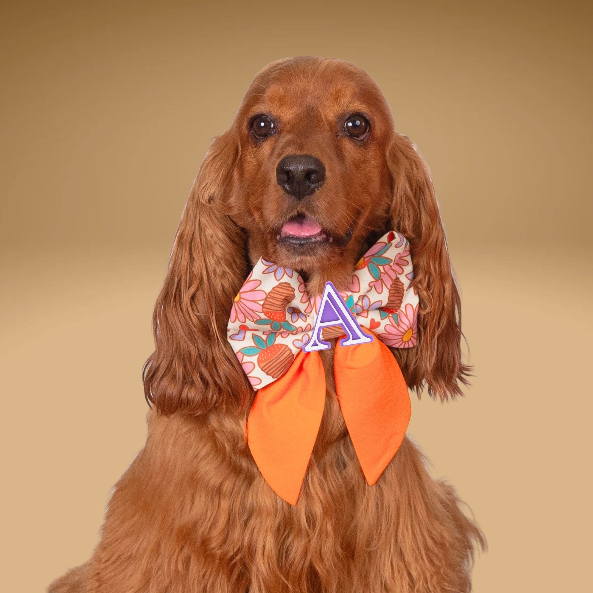 Sailor Bow Strawberry Daisy Sailor Bow with Initial by Life for Pawz – Handmade for pets