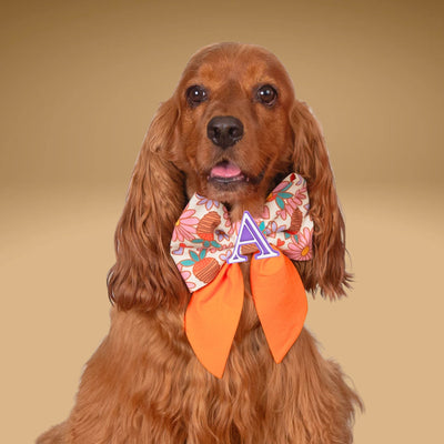 Sailor Bow Strawberry Daisy Sailor Bow with Initial by Life for Pawz – Handmade for pets