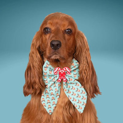 Sailor Bow Teal Reindeer Sailor Bow by Life for Pawz – Handmade for pets