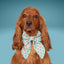 Sailor Bow Teal Reindeer Sailor Bow by Life for Pawz – Handmade for pets