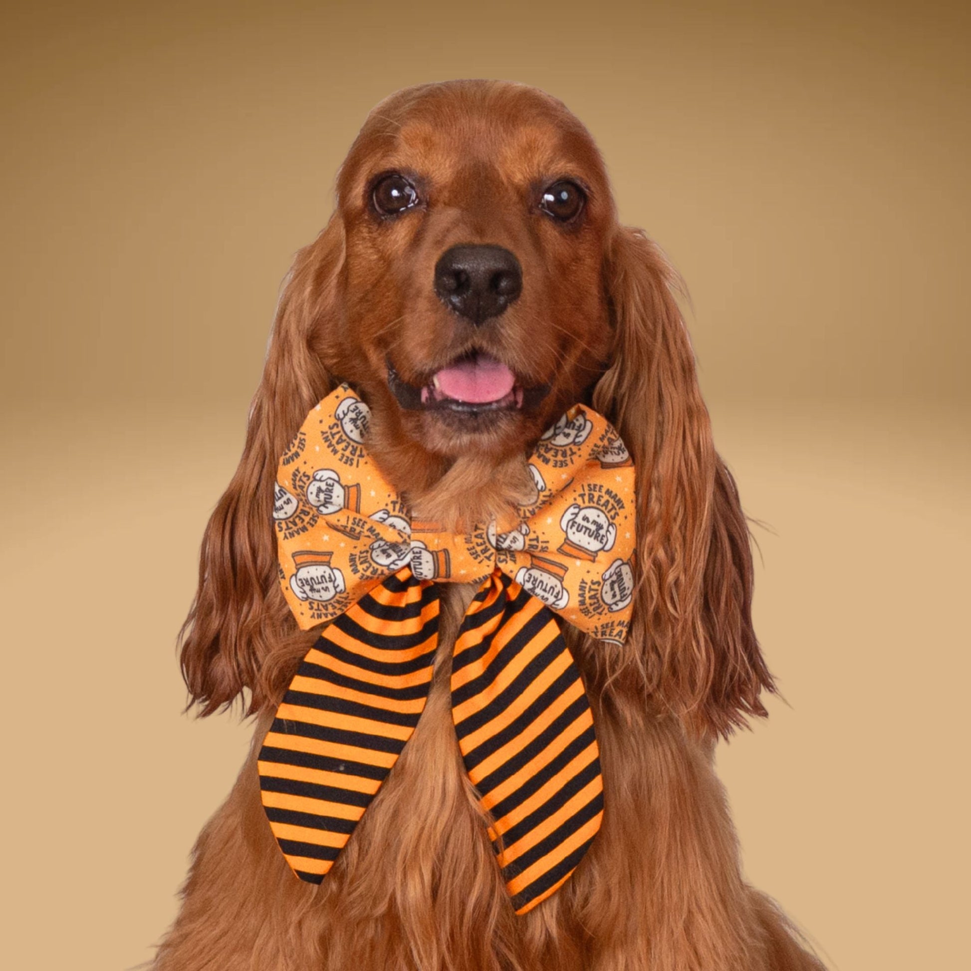 Sailor Bow Treats in My Future Bow by Life for Pawz – Handmade for pets