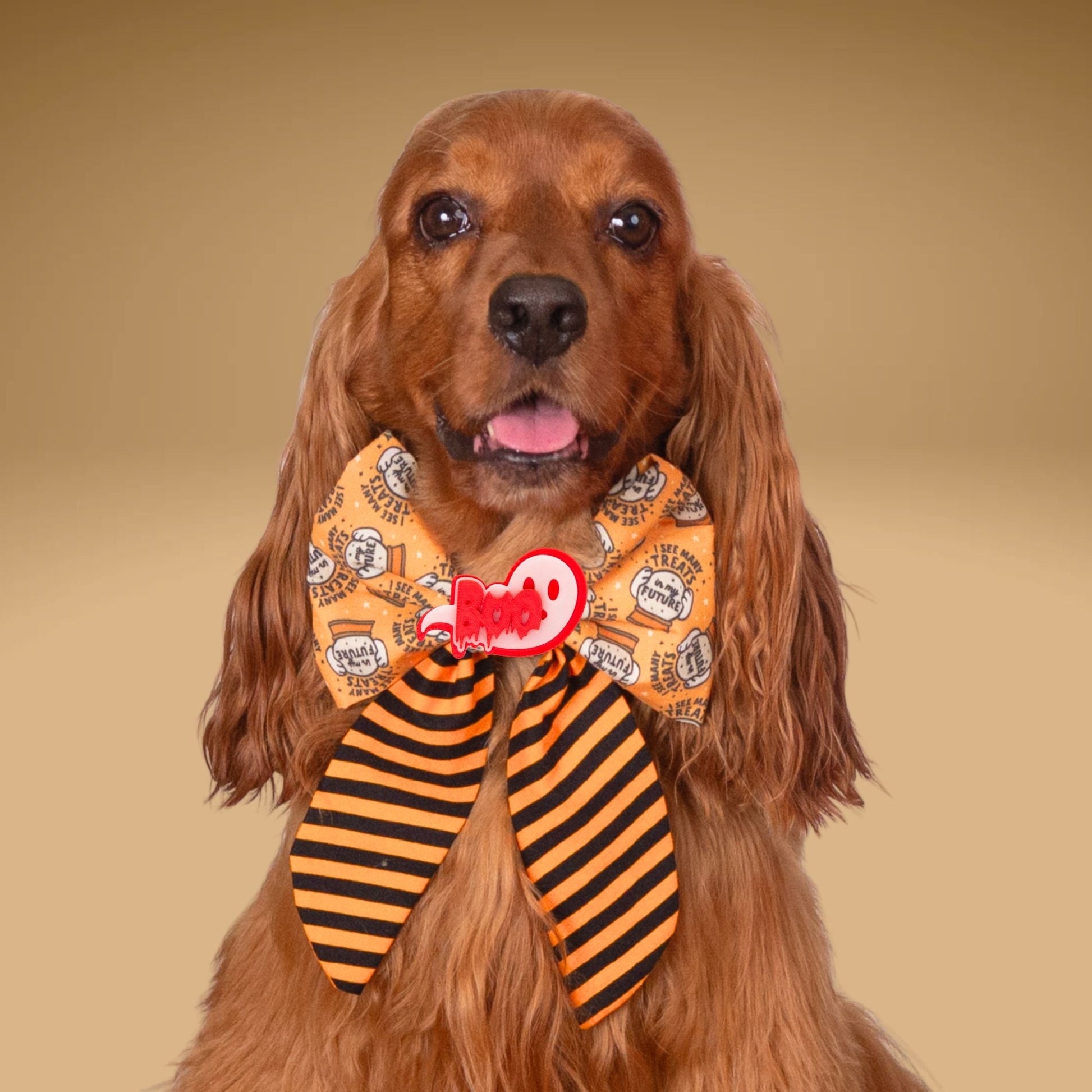 Sailor Bow Treats in My Future Bow by Life for Pawz – Handmade for pets