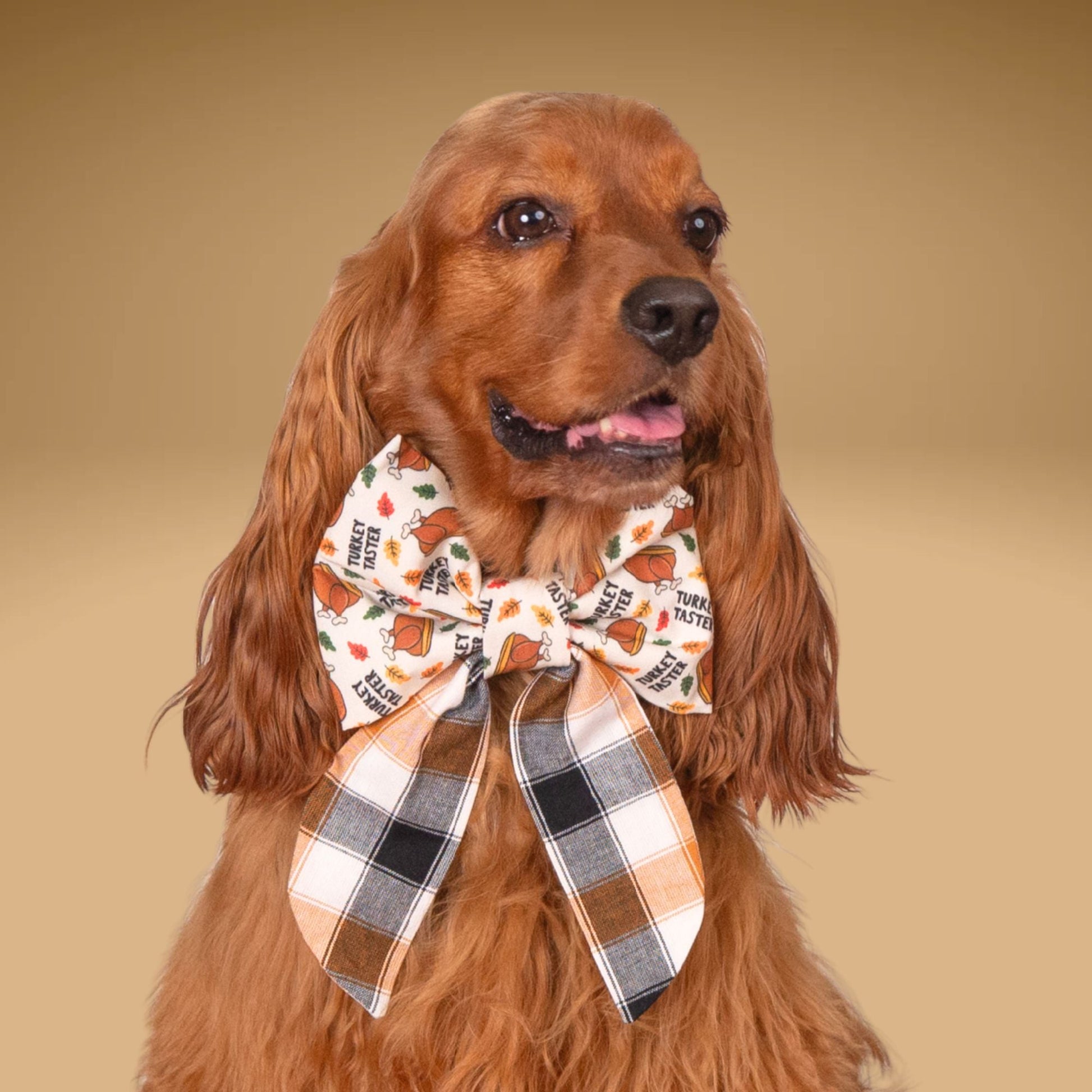 Sailor Bow Turkey Taster Sailor Bow by Life for Pawz – Handmade for pets