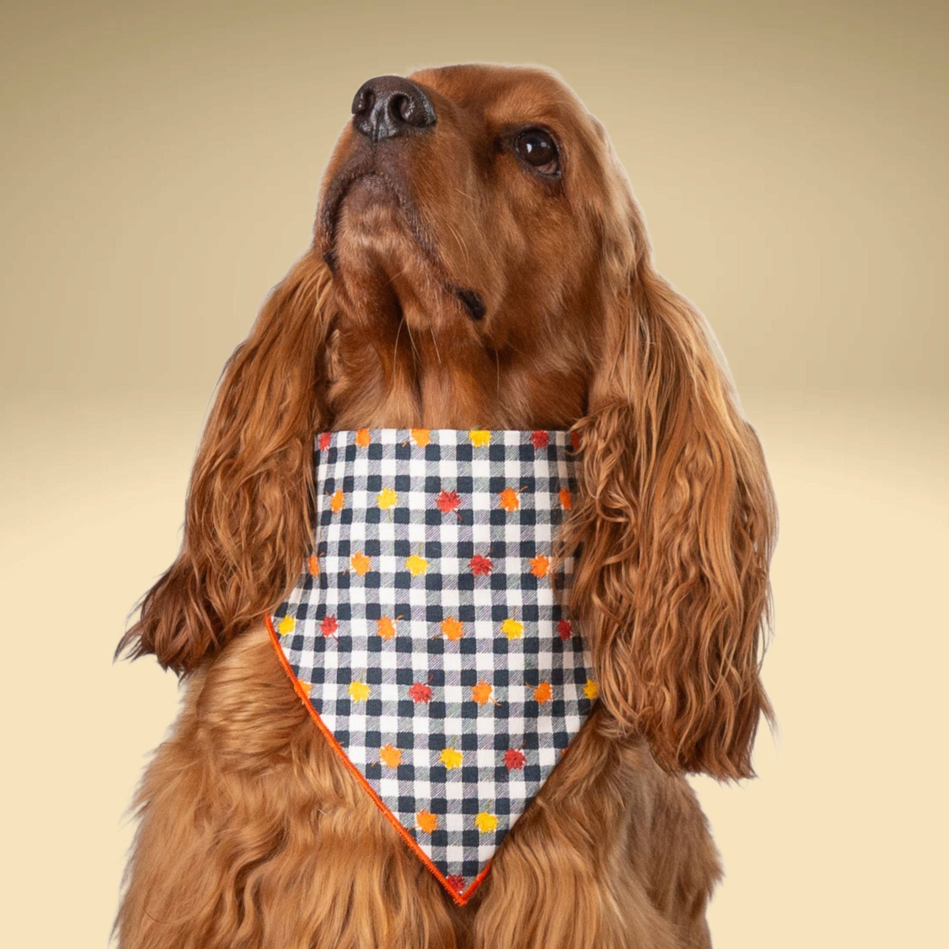 Scrunchie Bandanas Autumn Gingham by Life for Pawz – Handmade for pets
