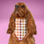 Scrunchie Bandanas Autumn Plaid by Life for Pawz – Handmade for pets
