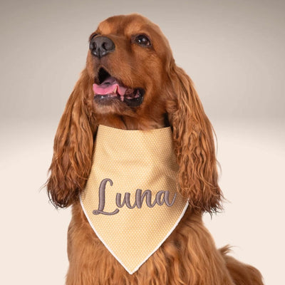 Scrunchie Bandanas Beige Polka Dot Embroidered Scrunchie Dog Bandana by Life for Pawz – Handmade for pets