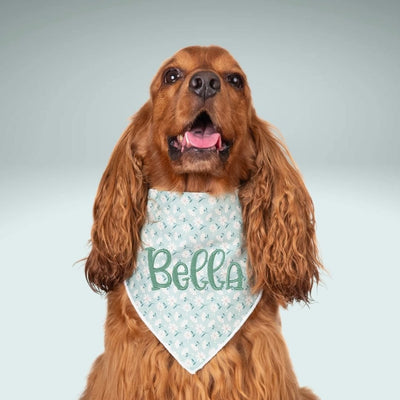 Scrunchie Bandanas Blue Daisy Embroidered Scrunchie Dog Bandana by Life for Pawz – Handmade for pets