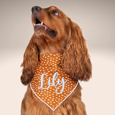 Scrunchie Bandanas Brown Speckle Embroidered Scrunchie Dog Bandana by Life for Pawz – Handmade for pets