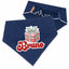 Scrunchie Bandanas Christmas Gift Box Scrunchie Dog Bandana by Life for Pawz – Handmade for pets