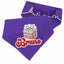 Scrunchie Bandanas Christmas Gift Box Scrunchie Dog Bandana by Life for Pawz – Handmade for pets