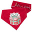 Scrunchie Bandanas Christmas Gift Box Scrunchie Dog Bandana by Life for Pawz – Handmade for pets