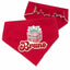 Scrunchie Bandanas Christmas Gift Box Scrunchie Dog Bandana by Life for Pawz – Handmade for pets