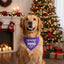 Scrunchie Bandanas Christmas Naughty List Scrunchie Bandana by Life for Pawz – Handmade for pets