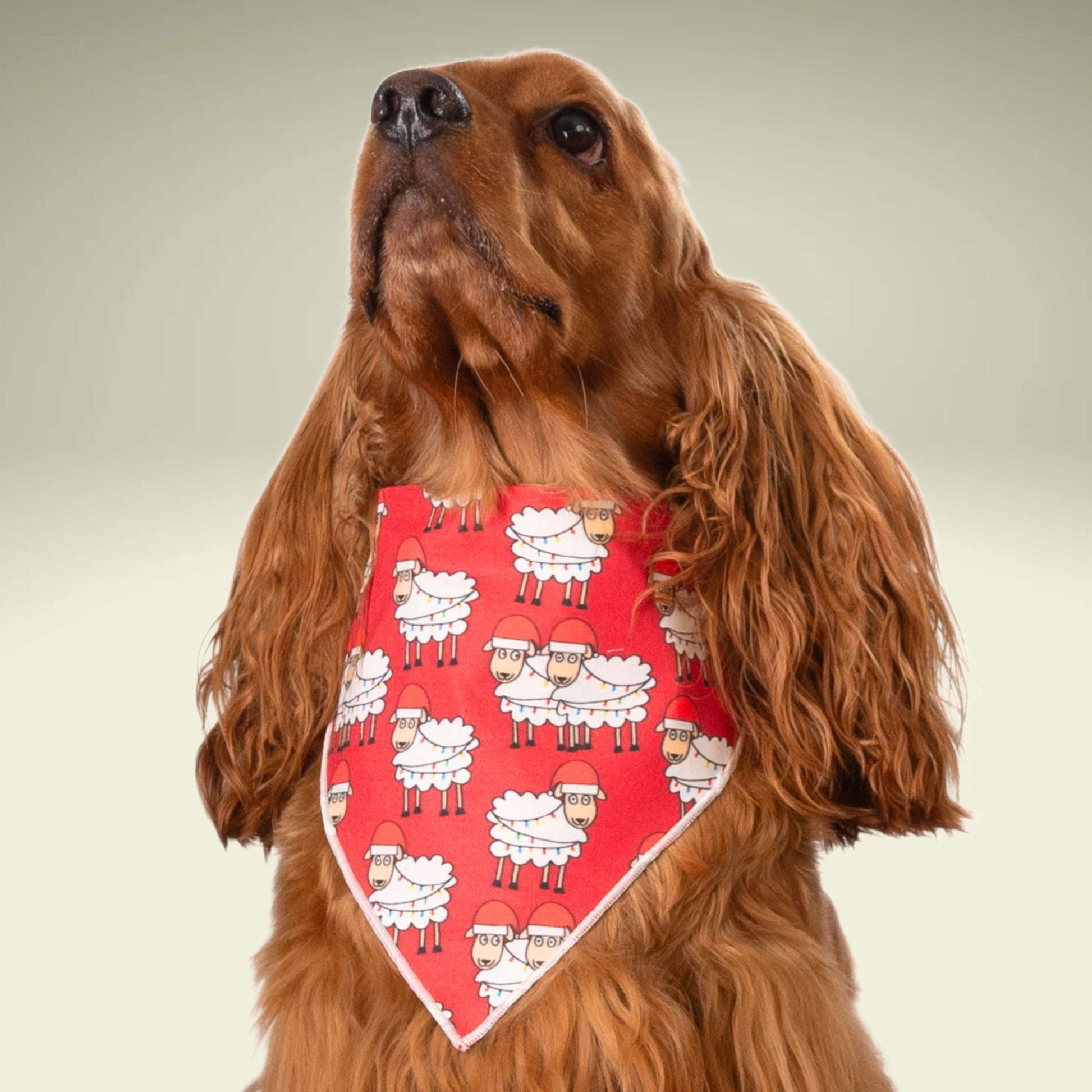 Scrunchie Bandanas Christmas Sheep by Life for Pawz – Handmade for pets