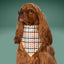 Scrunchie Bandanas Fall Plaid by Life for Pawz – Handmade for pets