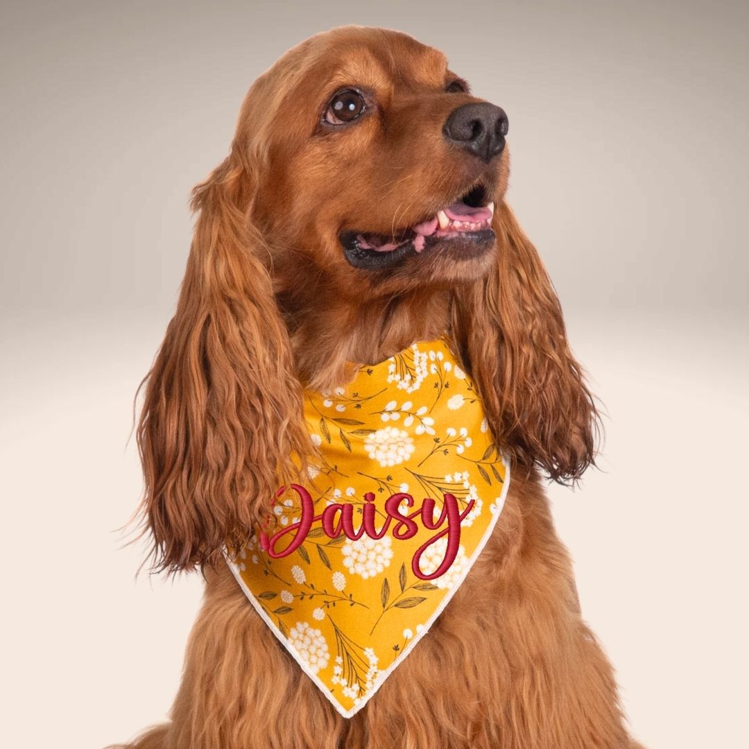 Scrunchie Bandanas Golden Floral Embroidered Scrunchie Dog Bandana by Life for Pawz – Handmade for pets