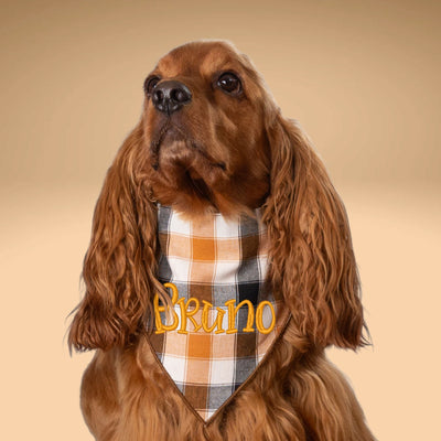 Scrunchie Bandanas Golden Plaid by Life for Pawz – Handmade for pets