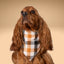 Scrunchie Bandanas Golden Plaid by Life for Pawz – Handmade for pets